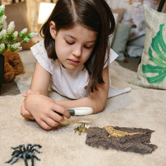 Homoyoyo reptile bark decor terrarium add-on provides realistic bark aesthetic and utility