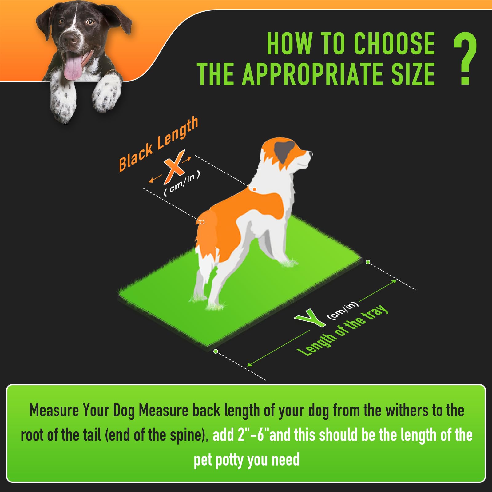 Hompet dog grass pad indoor/outdoor use showing portable potty in various environments.