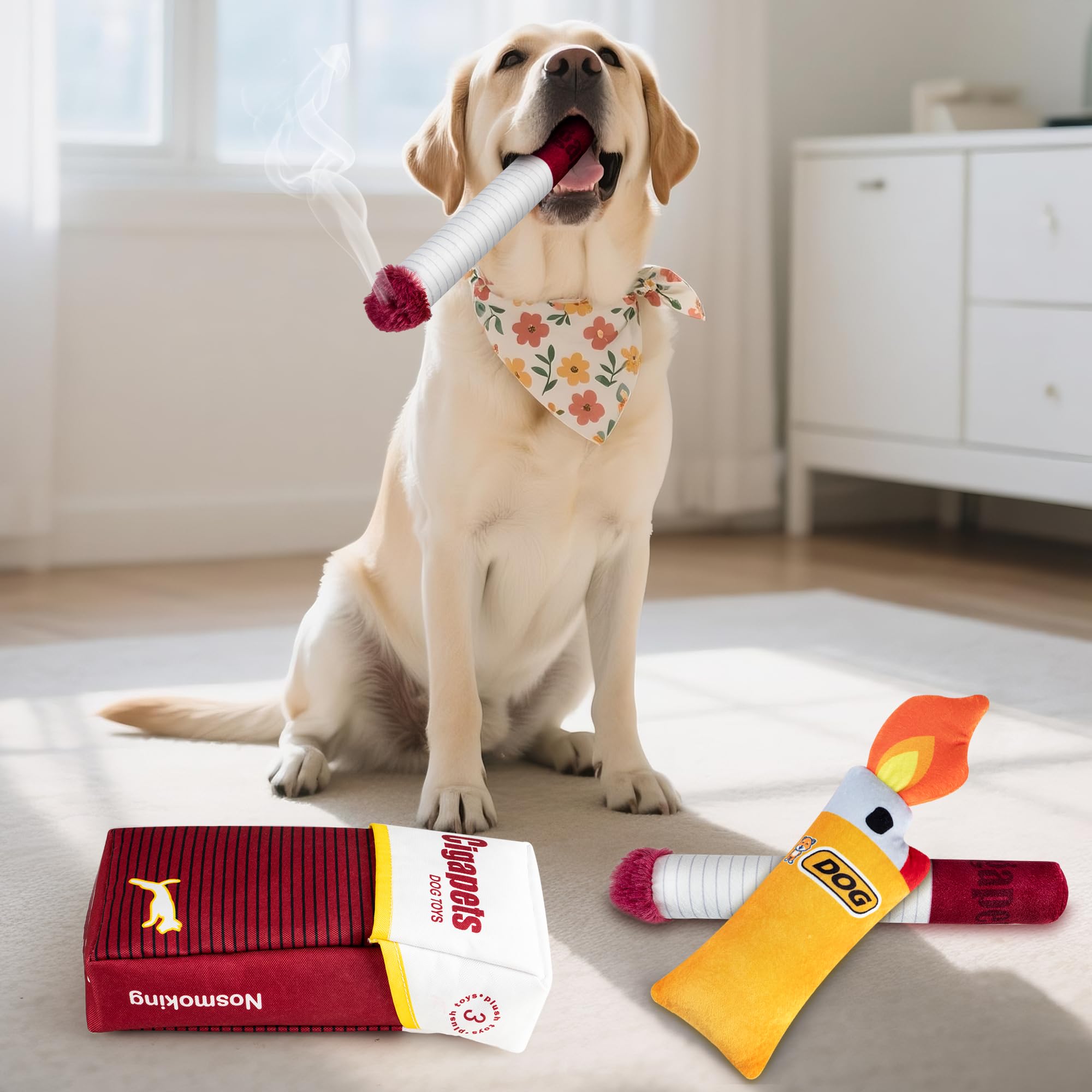 Homrich birthday-present-dog-toy-set makes a thoughtful gift for dog lovers.