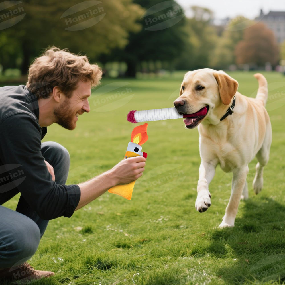 Homrich portable-dog-toy-box-travel convenient for on-the-go play sessions with dogs.