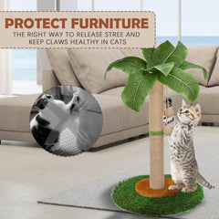 HOMYHANDS cat scratching post hanging ball engages play and claws.