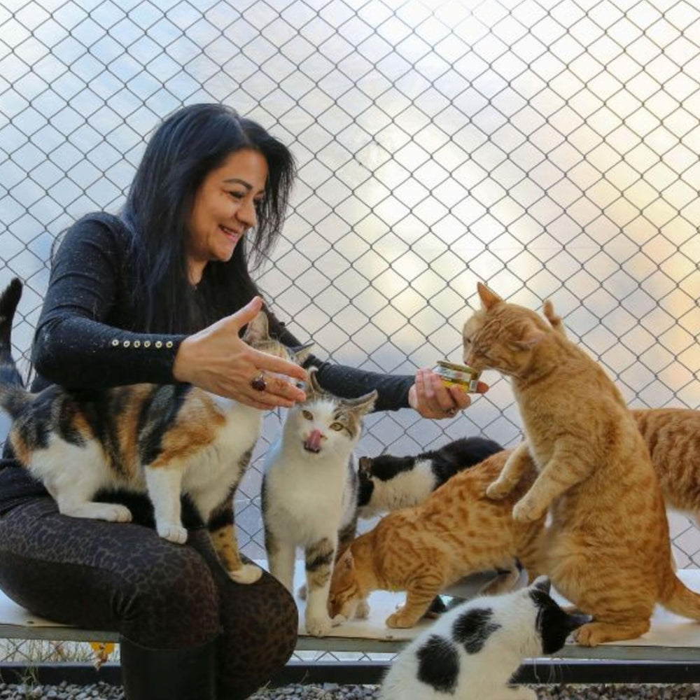 HOMYPOWER durable materials highlight tear resistance under cat interactions.
