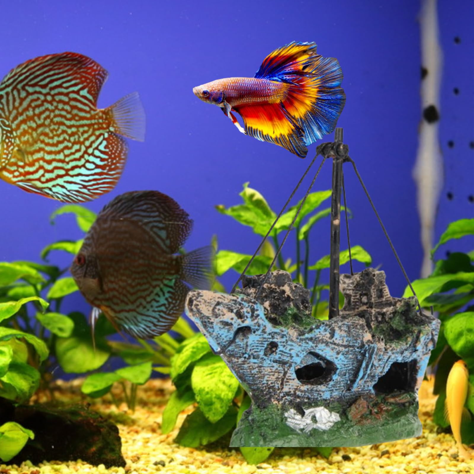 HoneTeek shipwreck ornament with flat base provides stable placement.