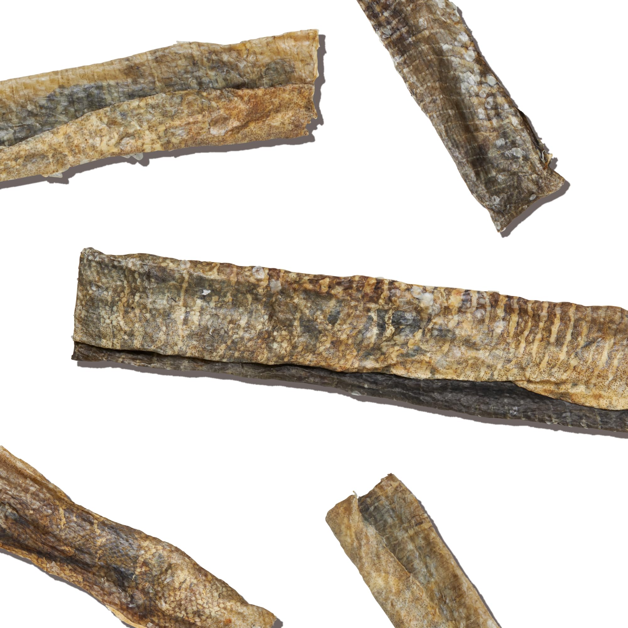 The Honest Kitchen Ocean Chews single-ingredient image reinforces simple, protein-forward snacking for dogs.