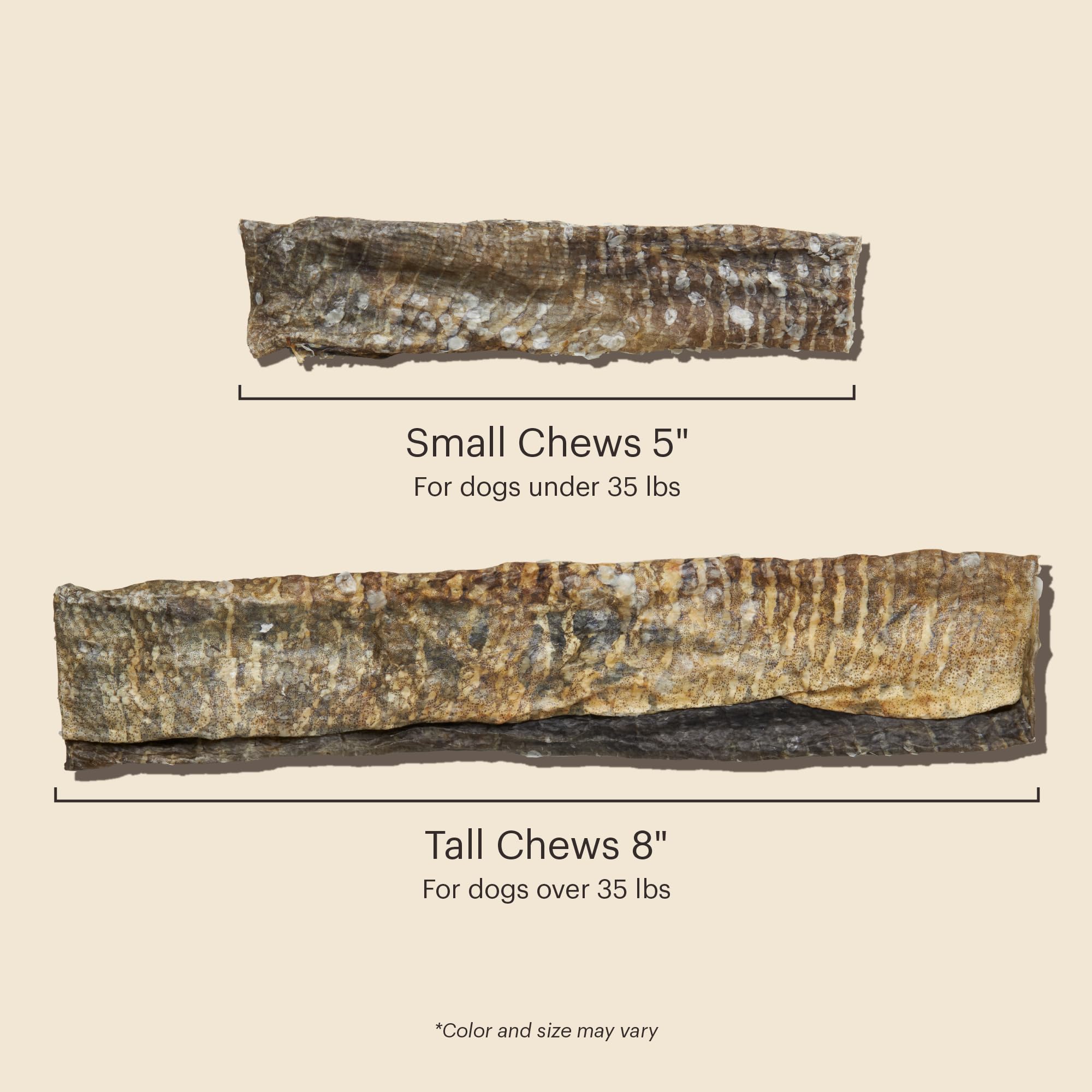 The Honest Kitchen Ocean Chews USA production photo underlines human-grade manufacturing standards.