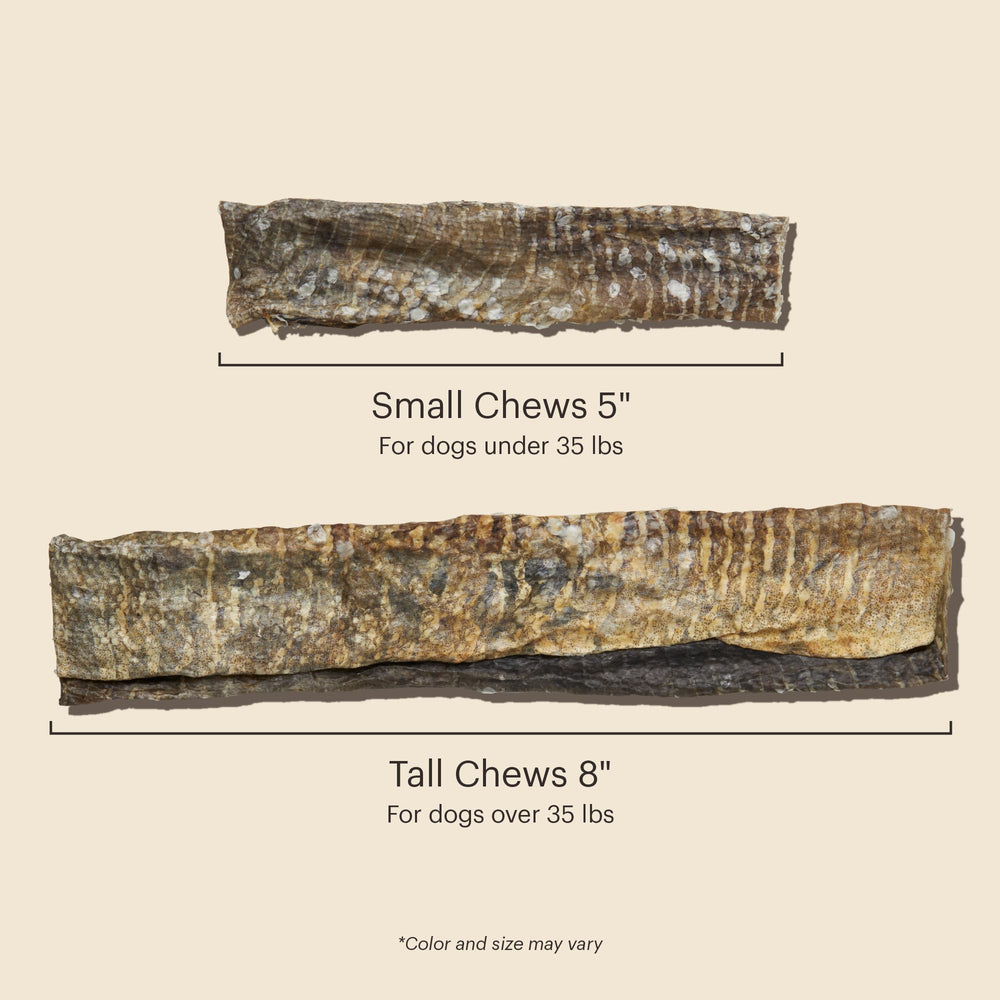 The Honest Kitchen Ocean Chews USA production photo underlines human-grade manufacturing standards.