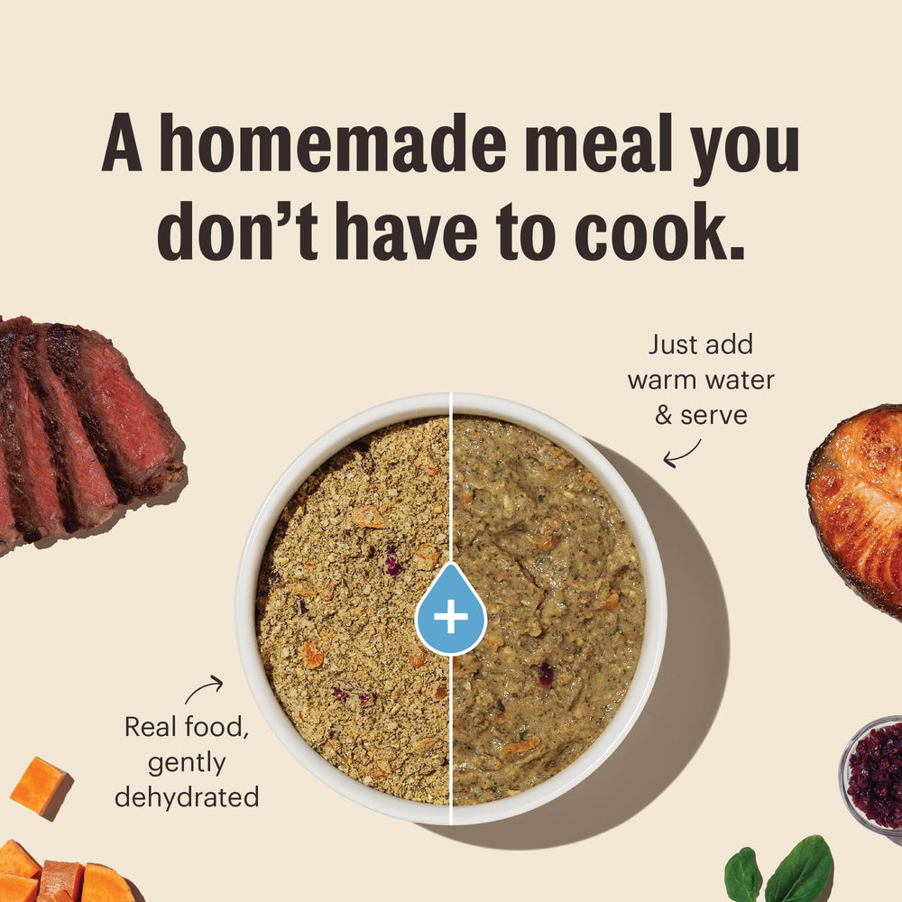 Ingredient spotlight turkey sweet potato green beans for balanced meal