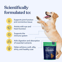 Honest Paws multivitamin chews promoting joint comfort with glucosamine and chondroitin.