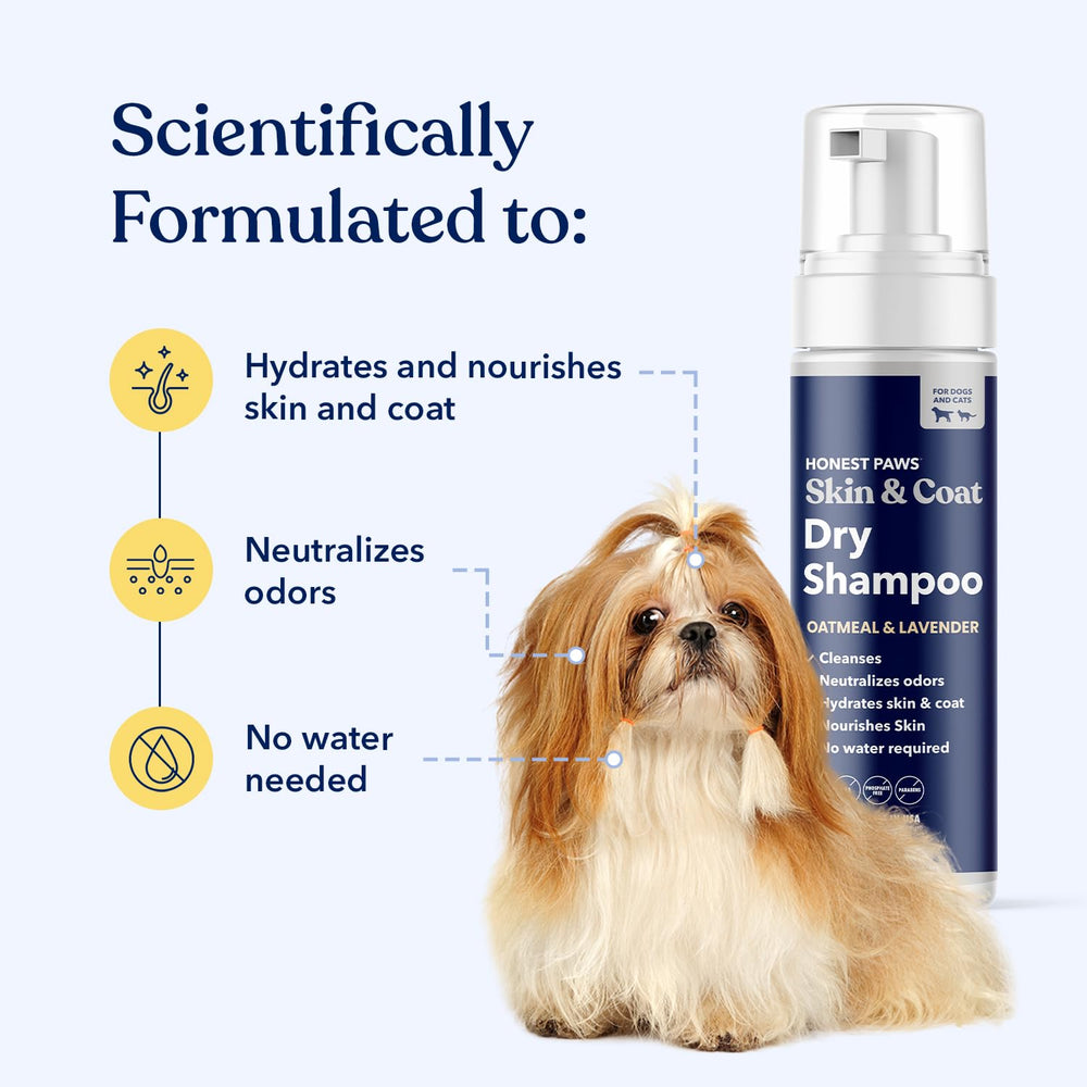 Honest Paws dog dry shampoo foam provides a gentle lather during at-home grooming.