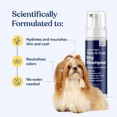 Honest Paws dog dry shampoo foam provides a gentle lather during at-home grooming.