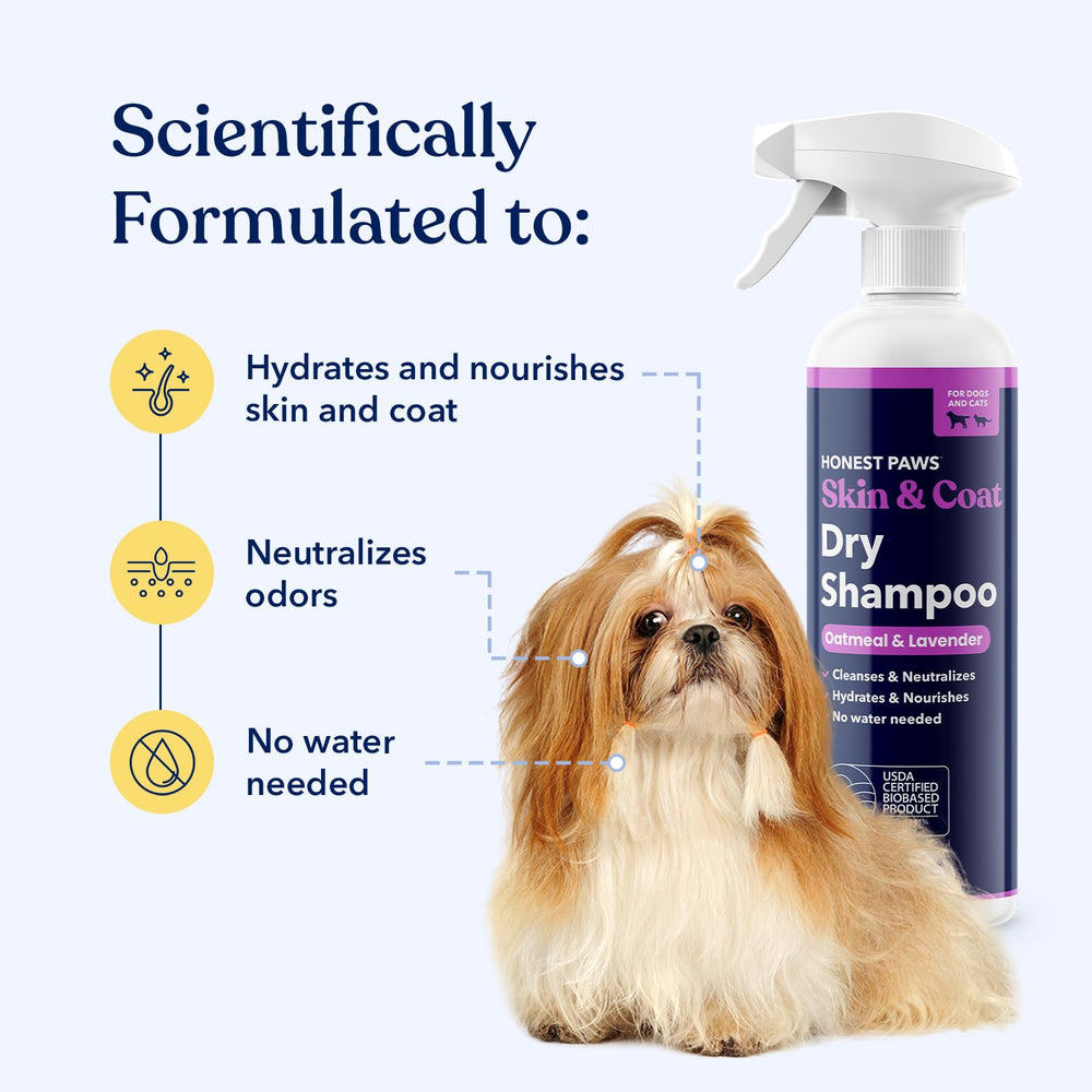 Honest Paws dog dry shampoo spray mist for quick odor removal and shine