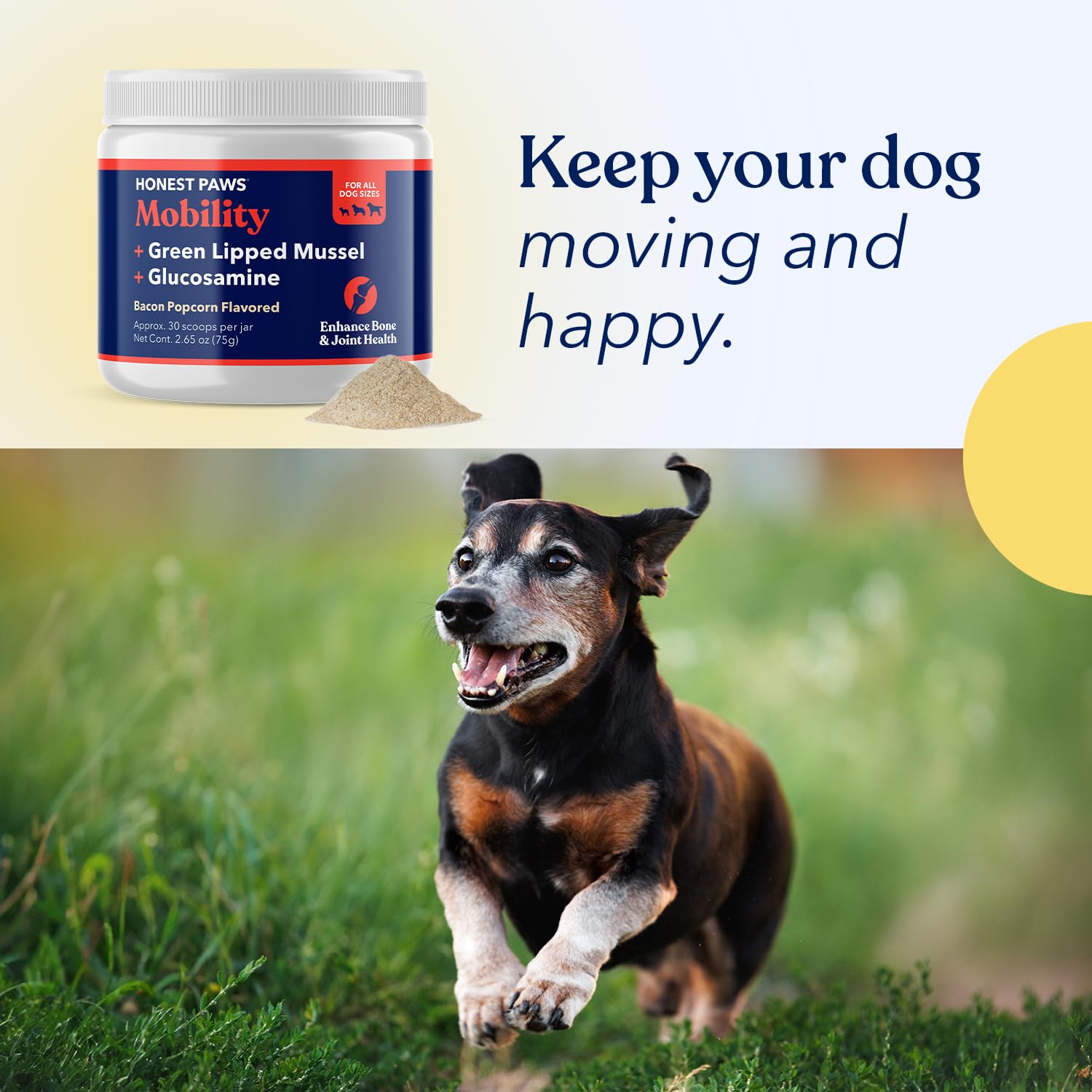 Honest Paws dog running image demonstrates active lifestyle with ongoing joint care