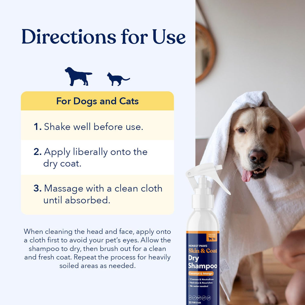 Dog enjoying a no-rinse moment with Honest Paws dry shampoo.