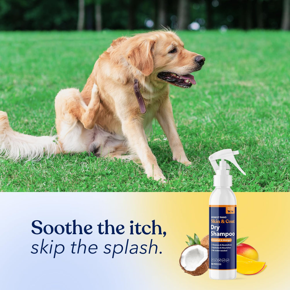 Eco-friendly Honest Paws shampoo packaging highlights safe ingredients.