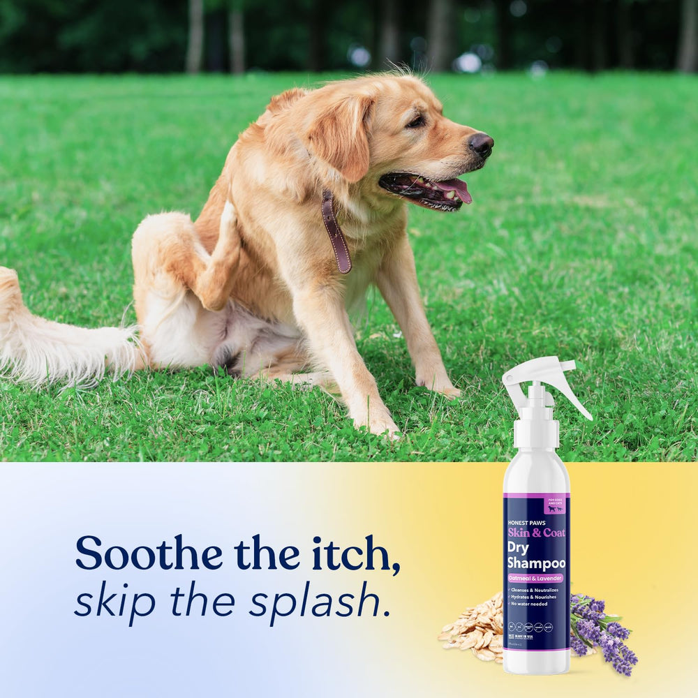 Honest Paws foam lather closeup showing coat cleansing action