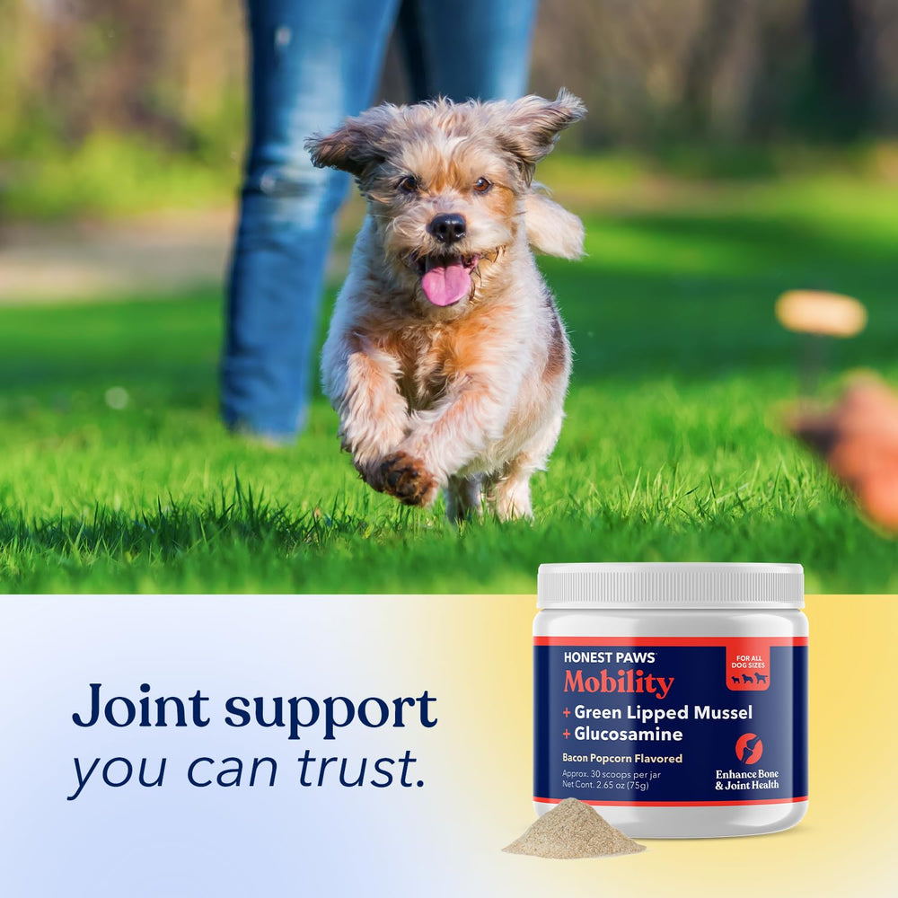 Honest Paws Glucosamine Boswellia Serrata ingredient image highlights plant-based inflammatory support