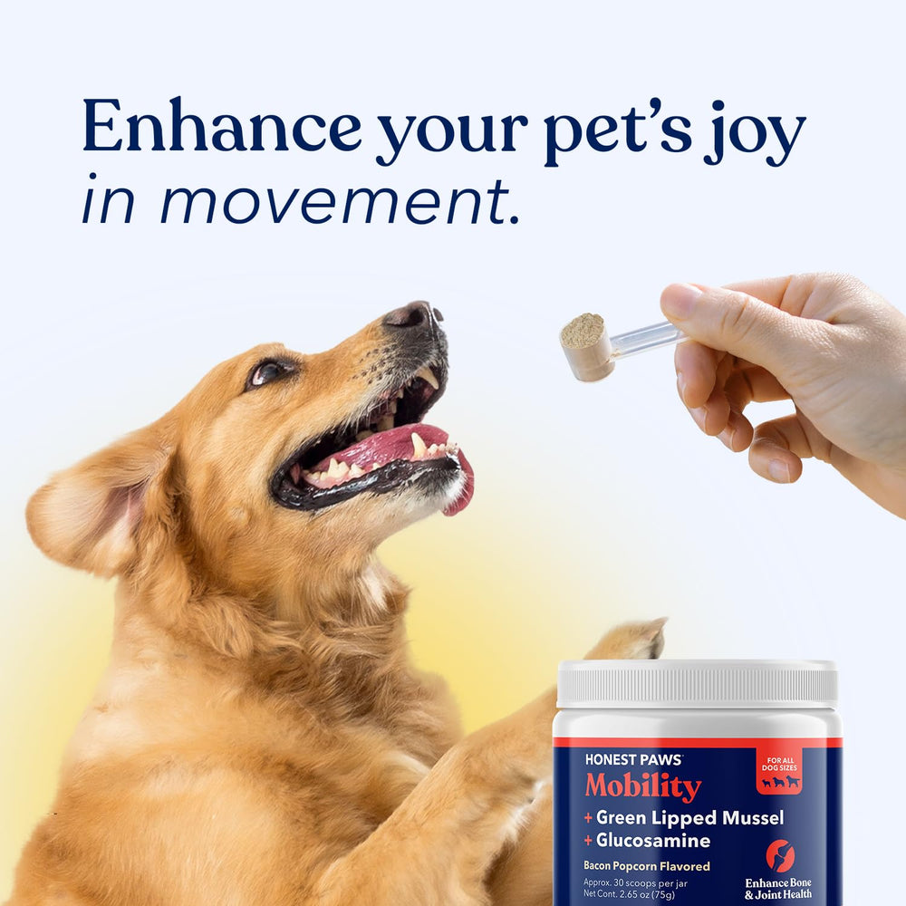 Honest Paws made-in-usa label reinforces trusted, non-GMO ingredients for dogs