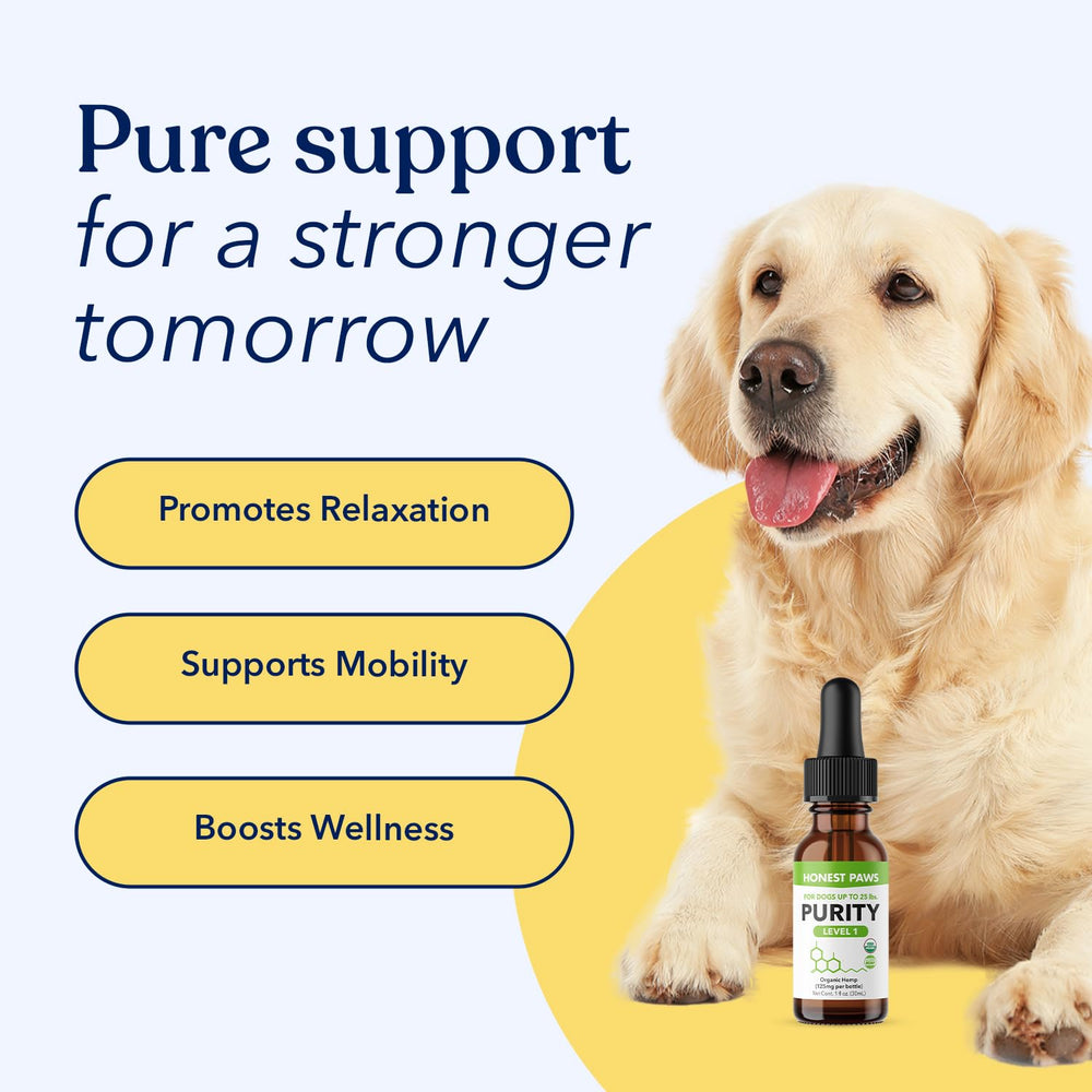 Honest Paws hemp oil dropper with label close-up for easy dosing.