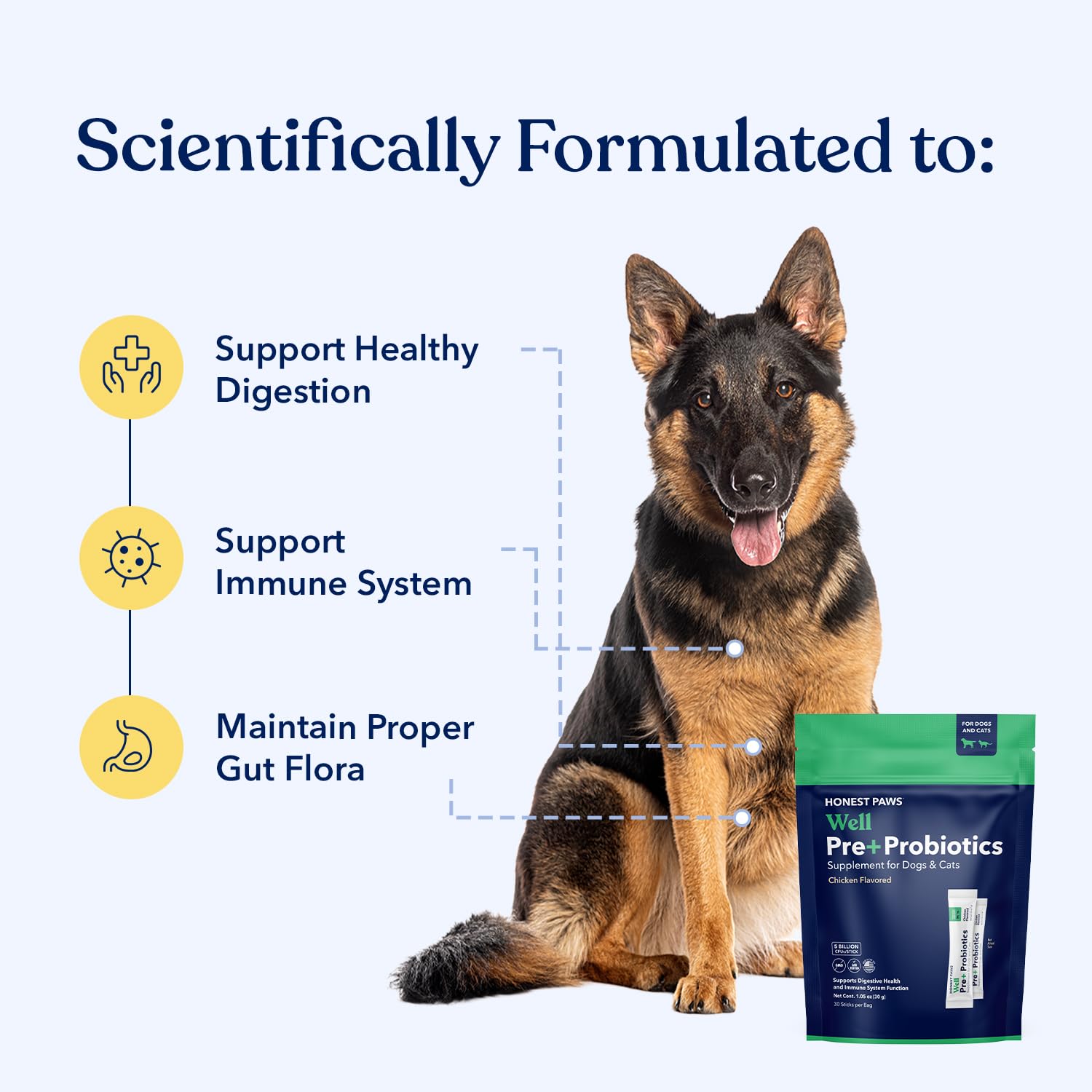 Honest Paws Probiotics scoop for easy daily dosing