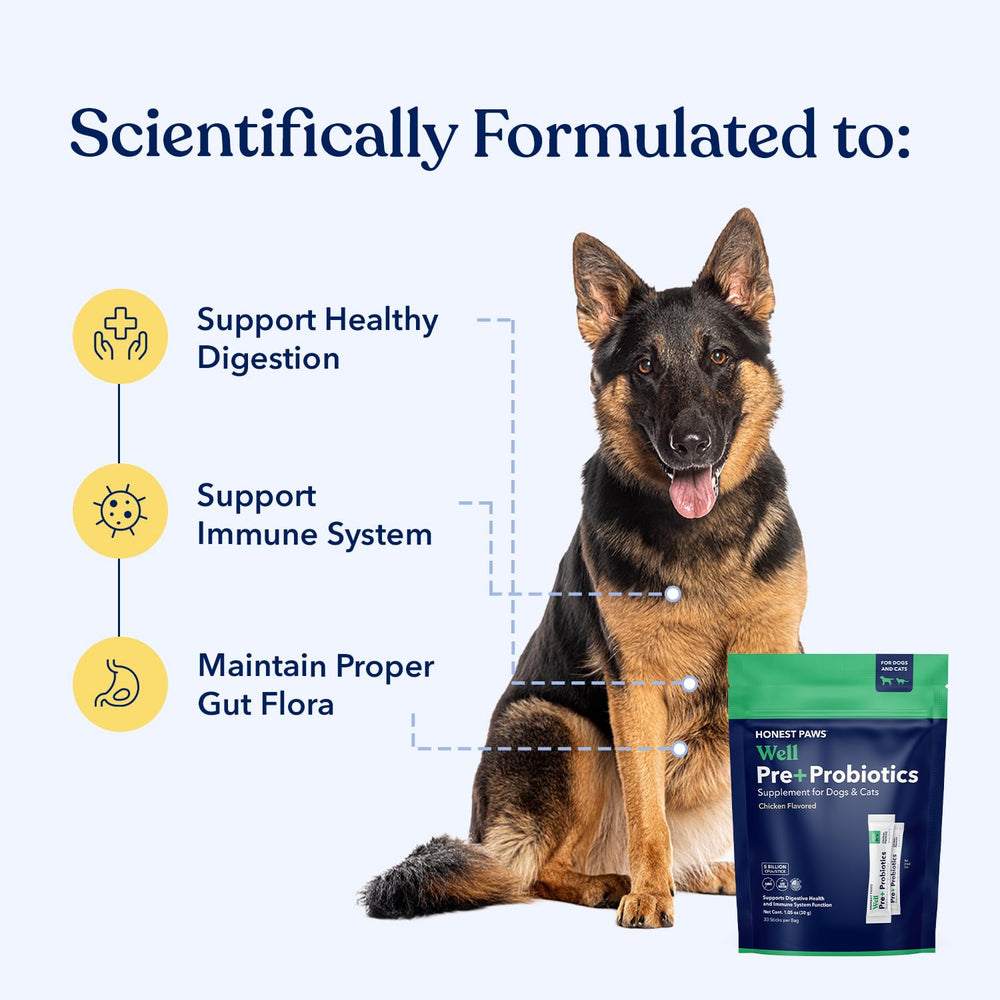 Honest Paws Probiotics scoop for easy daily dosing