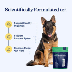 Honest Paws Probiotics scoop for easy daily dosing