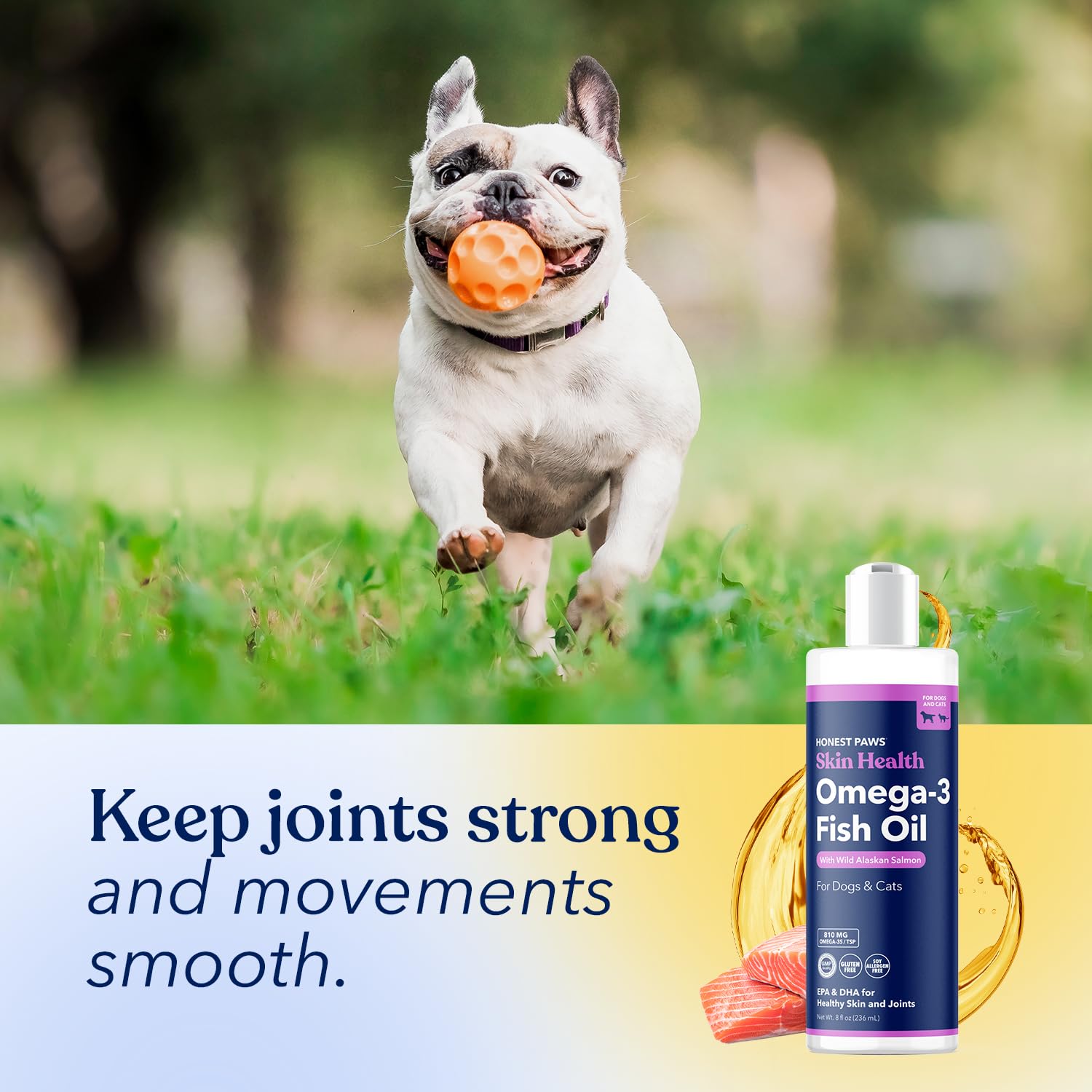 Honest Paws Salmon Oil coat-glow emphasizes silky, healthy-looking fur.
