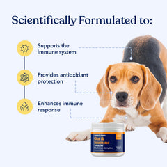 Honest Paws Turkey Tail Mushroom bottle pour demonstrates easy daily dosing for dogs