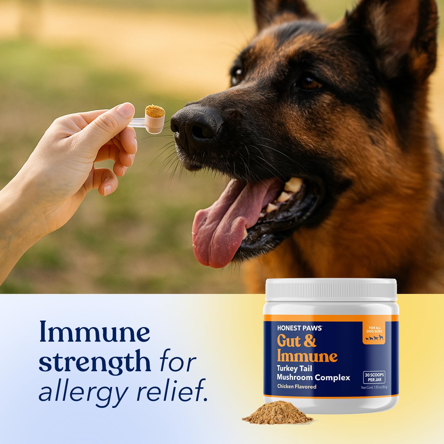 Honest Paws Turkey Tail Mushroom mushrooms closeup showcases mushroom blend for balanced health