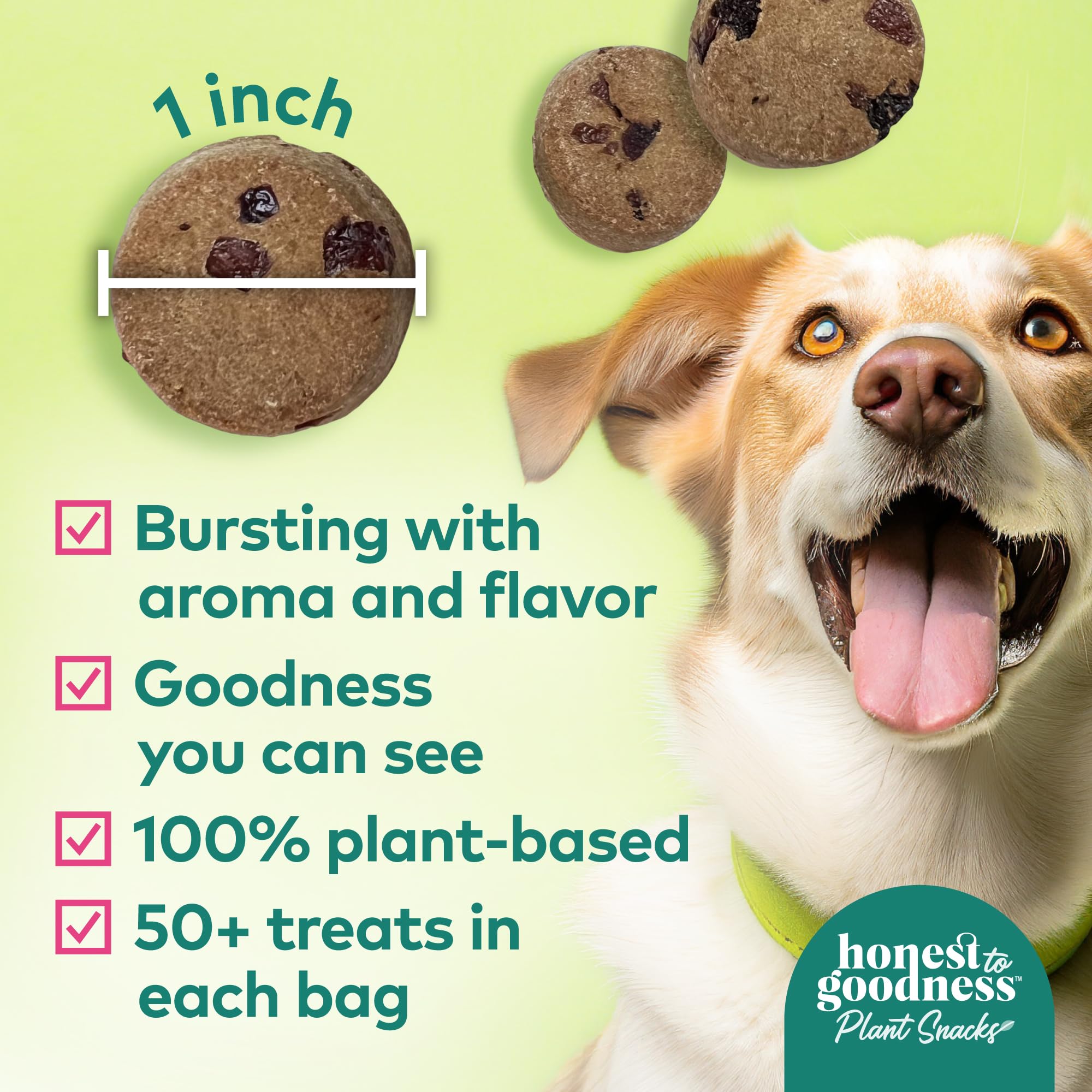 Honest to Goodness Buddy Boost ingredients display cranberries and pomegranate for natural nutrition.