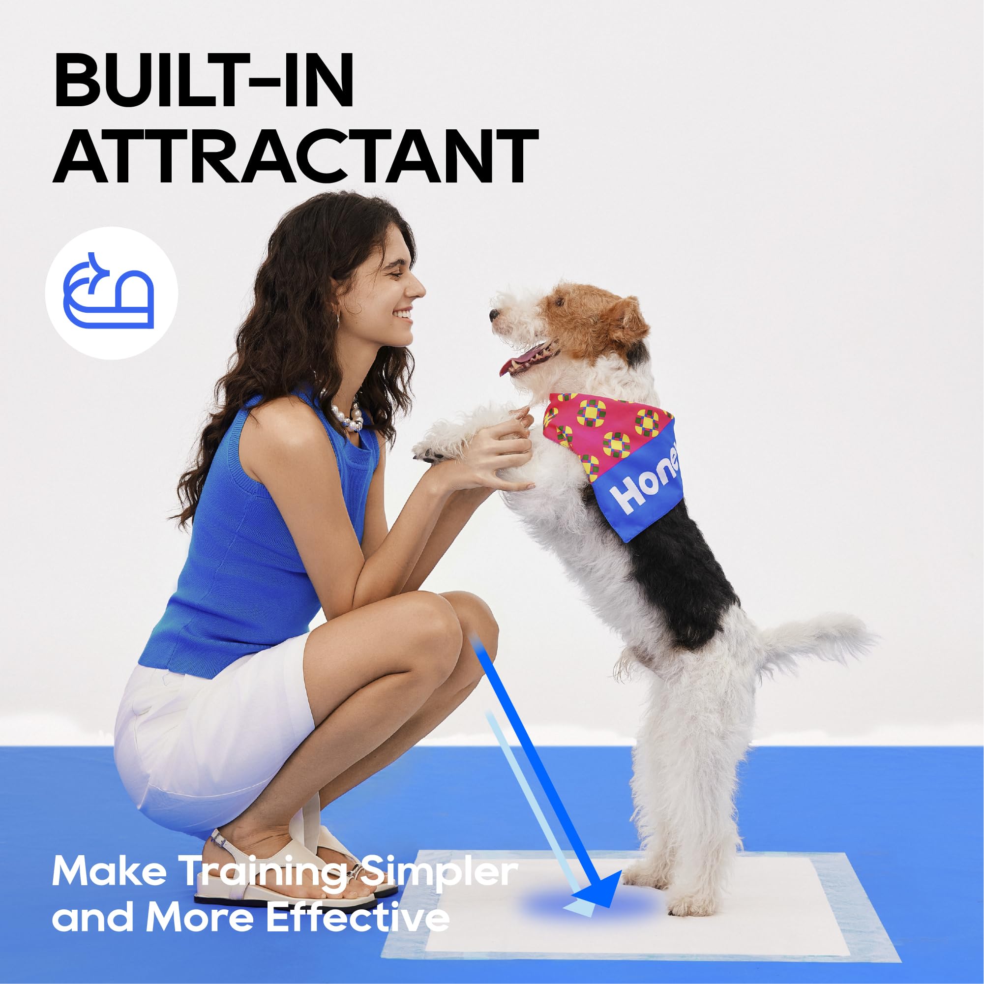 Honey Care All-Absorb pad blue color option shown for dog training environments