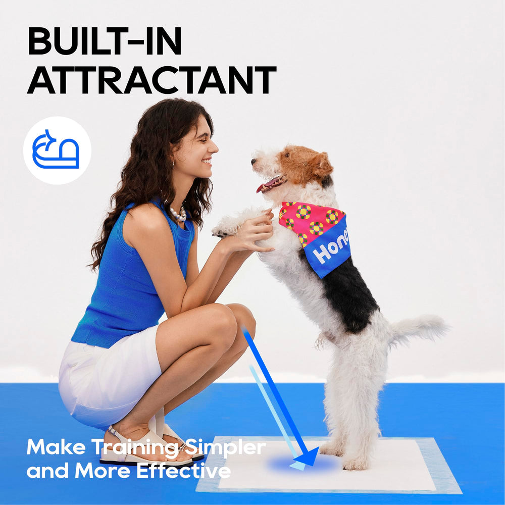 Honey Care All-Absorb pad blue color option shown for dog training environments