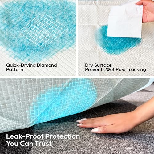 Honey Care All-Absorb pad second paper tissue layer supports absorption