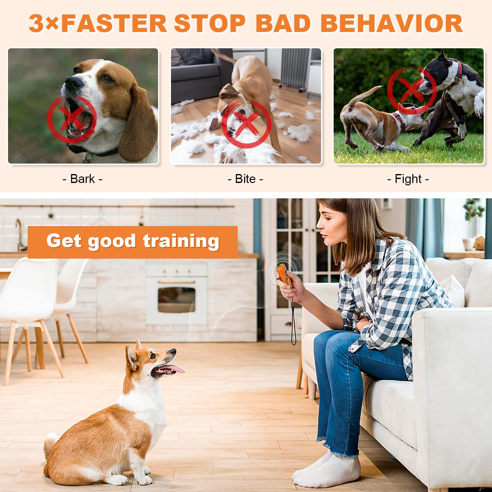 Honey Paws portable training device for indoor and outdoor use