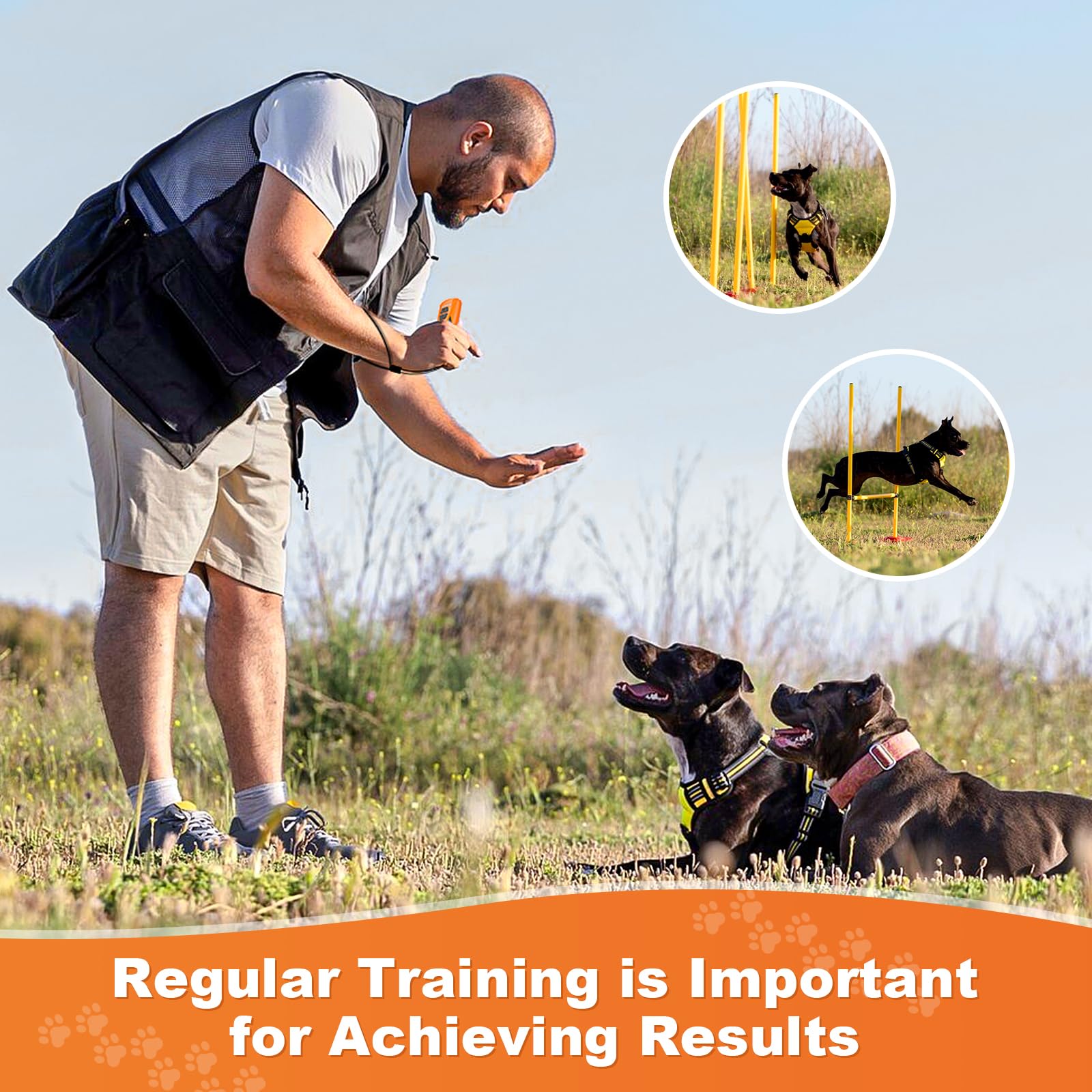 Honey Paws training aid showing behavior improvement