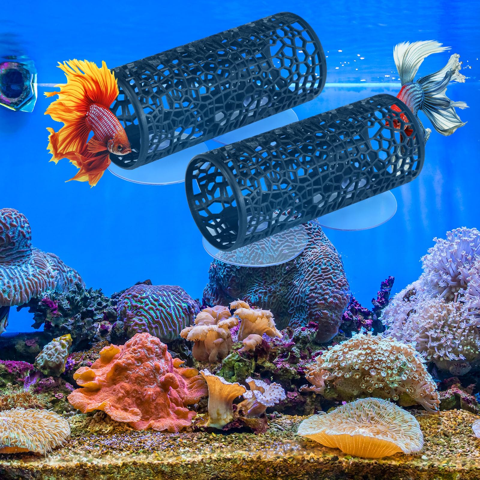 Honeydak Betta Tunnel With suction cups ensures stable placement in any habitat.