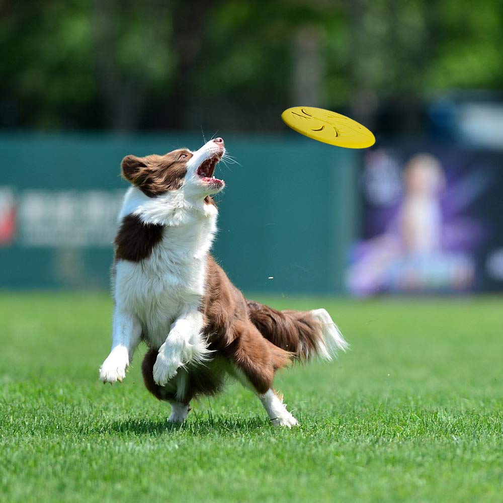 HONGEZEY bright yellow visibility helps spot during outdoor fetch.