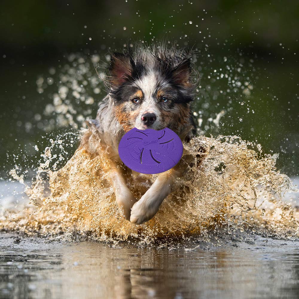 HONGEZEY disc floating on water, ideal for pool or lake games.