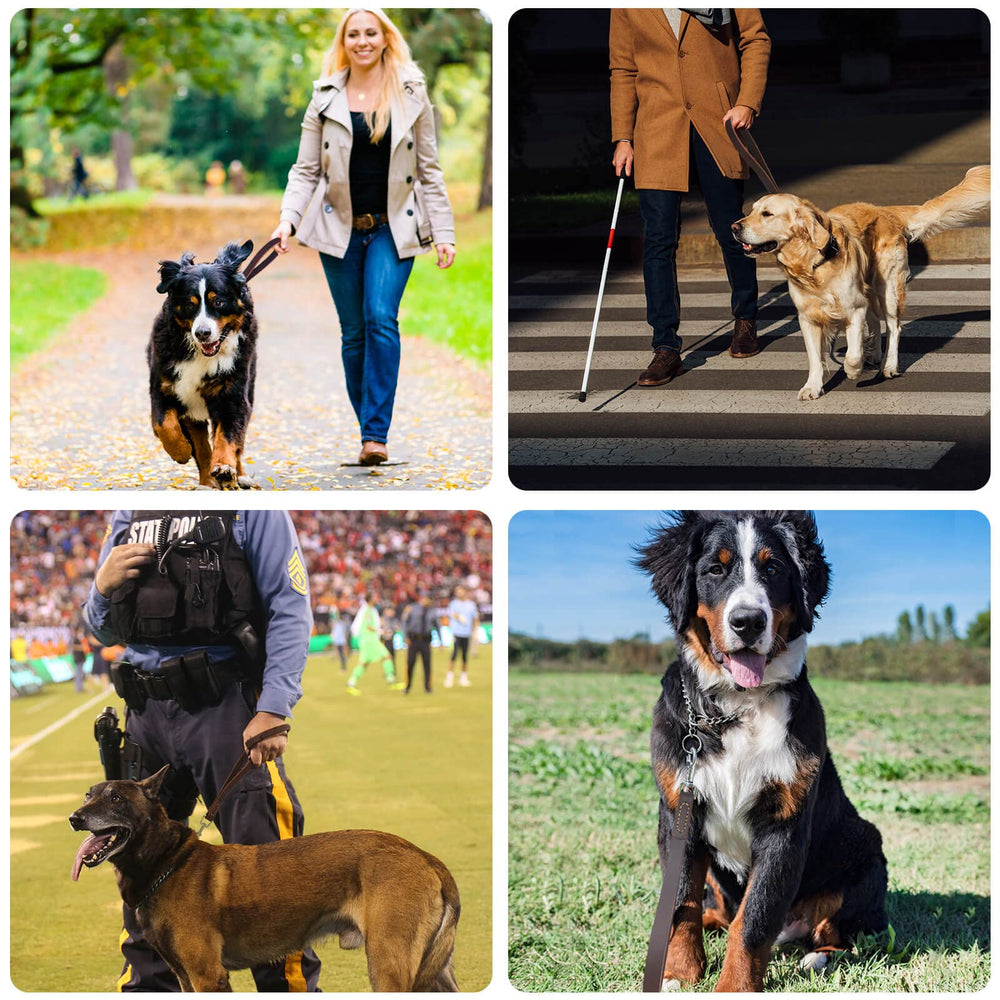 HONGSAGE 360-degree Rotation Clasp keeps leash tangle-free during busy walks.