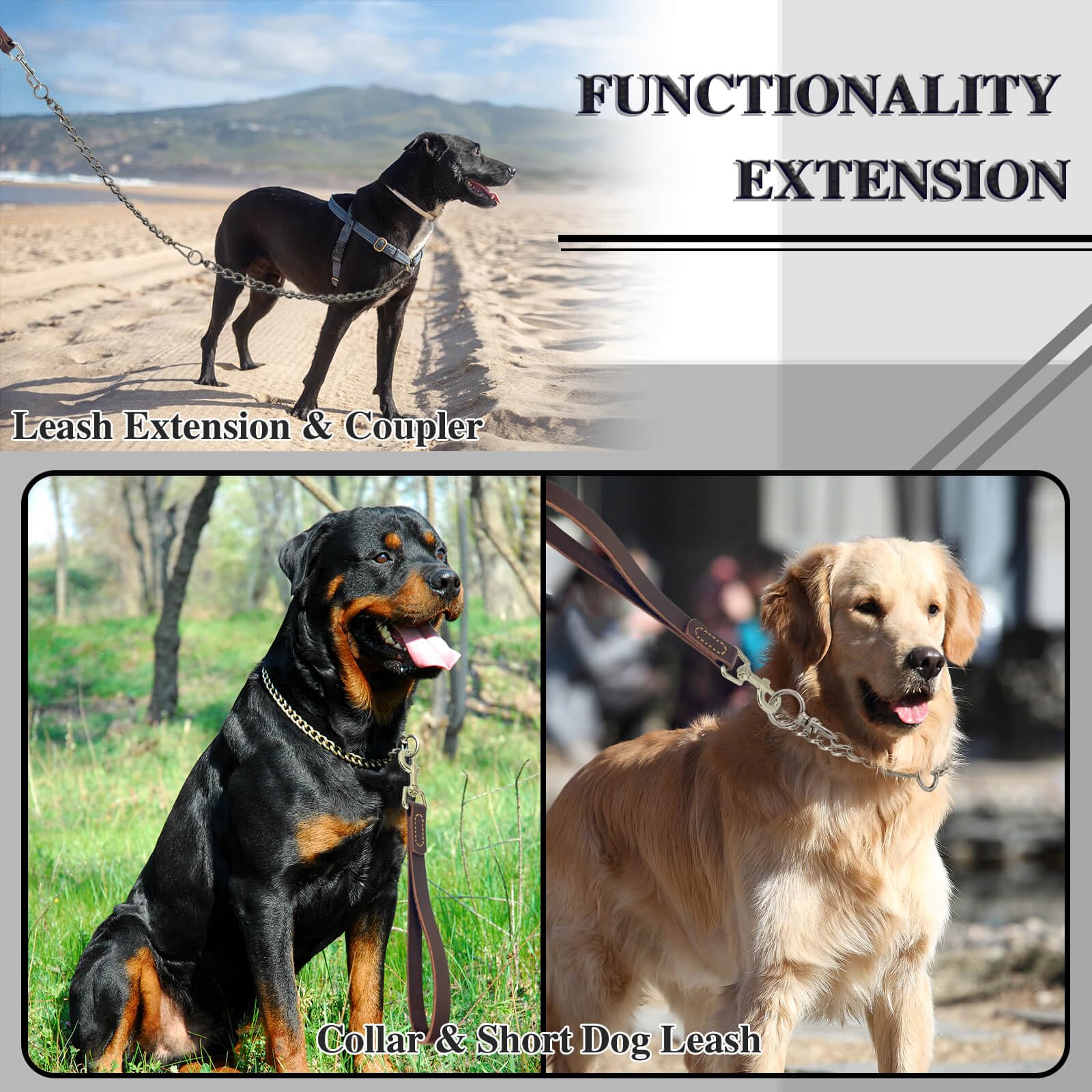 HONGSAGE extension and collar use demonstrates versatile configuration.