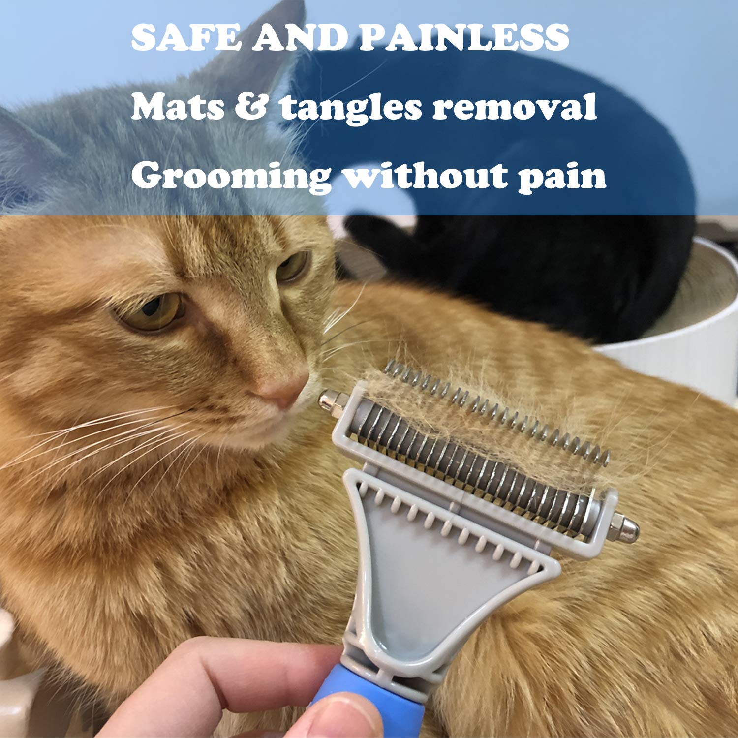Honguang cat and dog grooming session tackling mats and shedding.