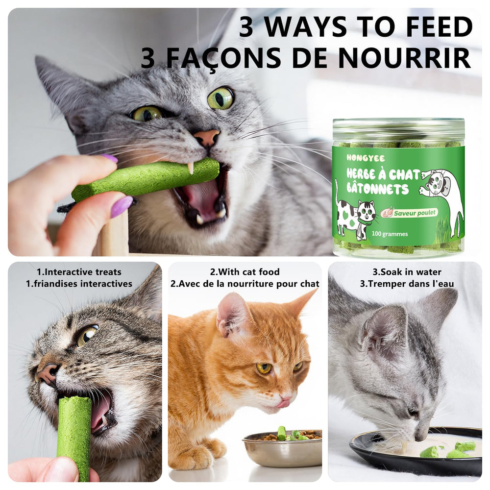 HONGYEE hairball support snack positioned beside grooming tools
