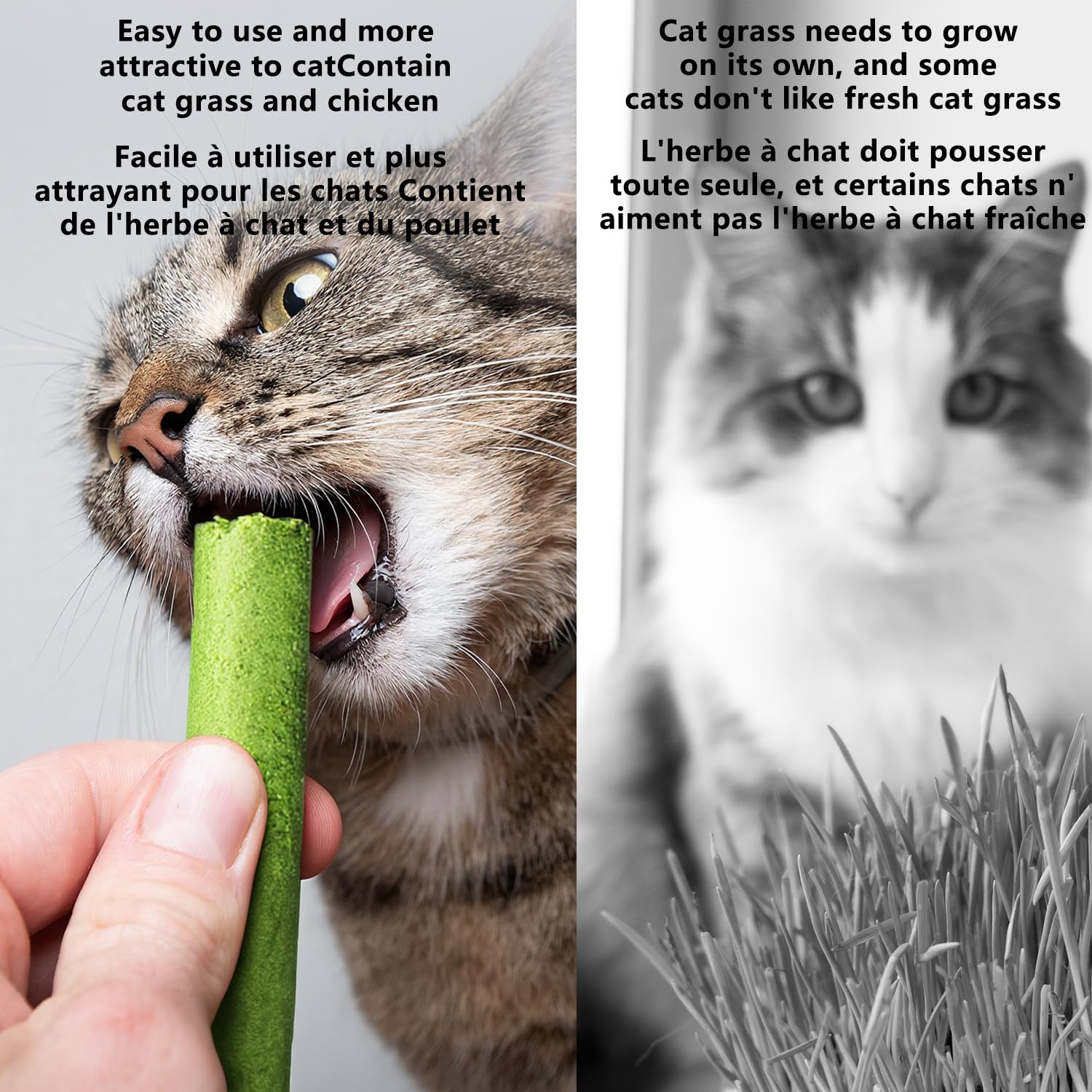 HONGYEE training reward snack shown for positive reinforcement