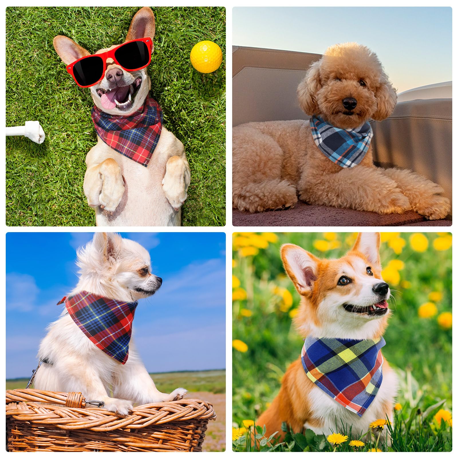 Honoson washable pet scarf helps simplify wardrobe changes and quick cleanups.