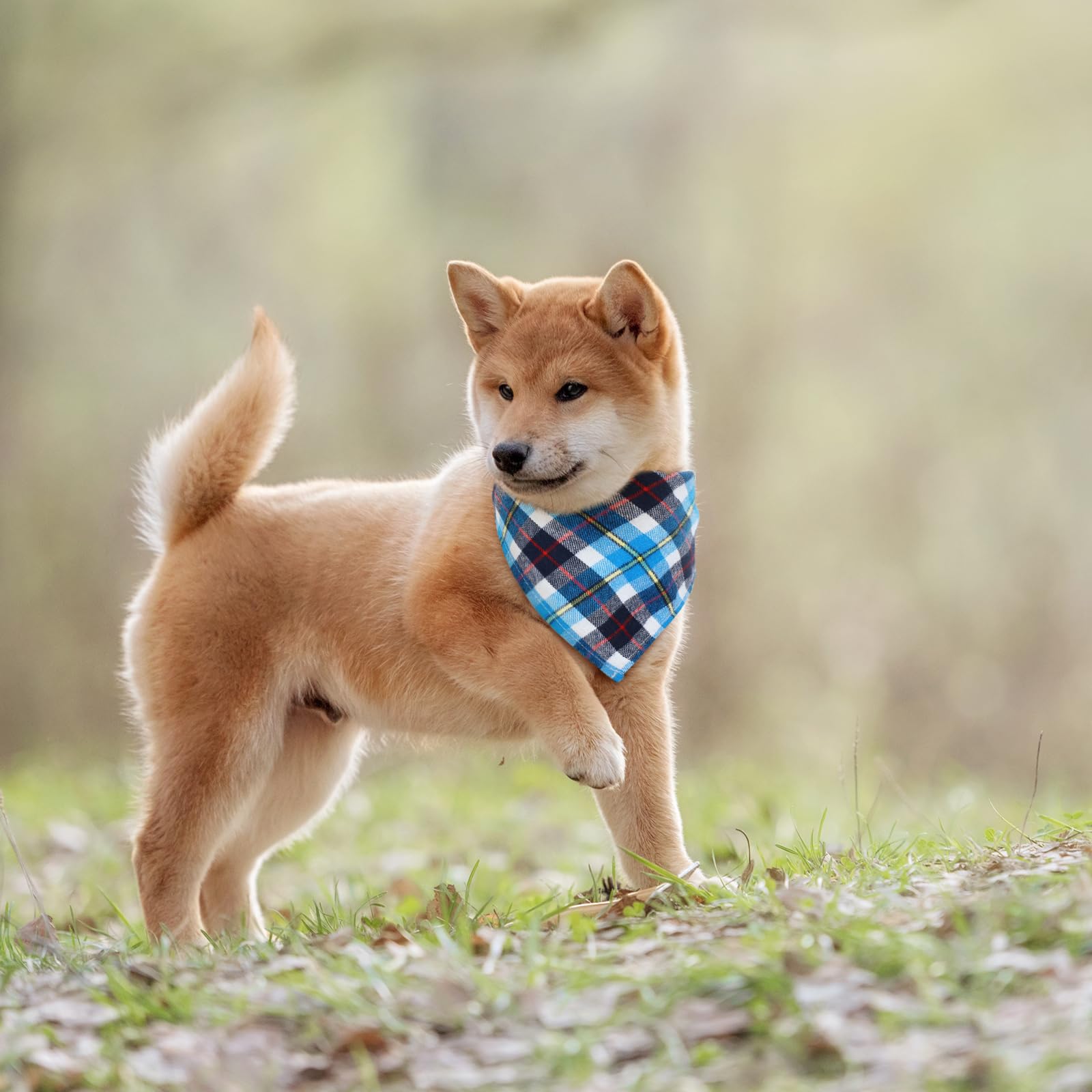 Honoson plaid dog scarf enhances pet photos and holiday outfits.