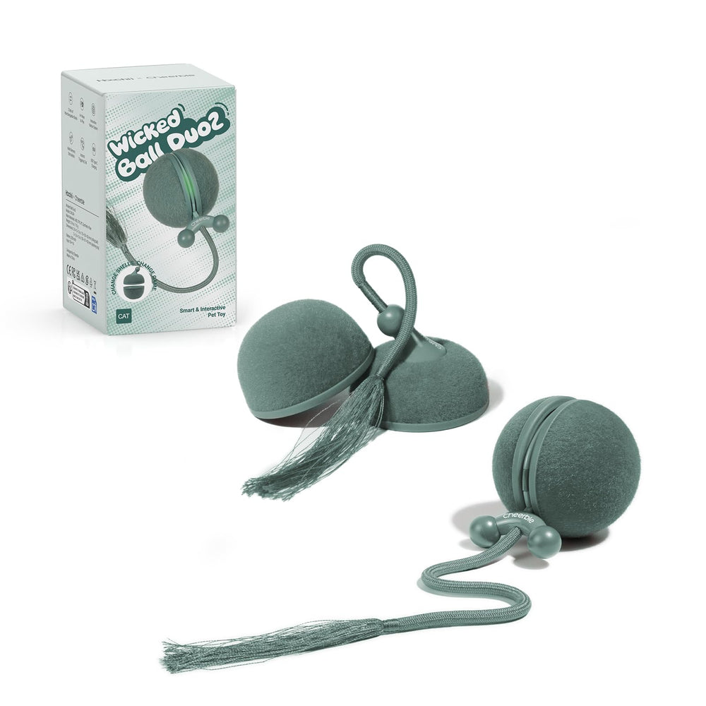 Hoochii Wicked Ball Duo2 rolling-ball mode promotes active indoor play and agility.