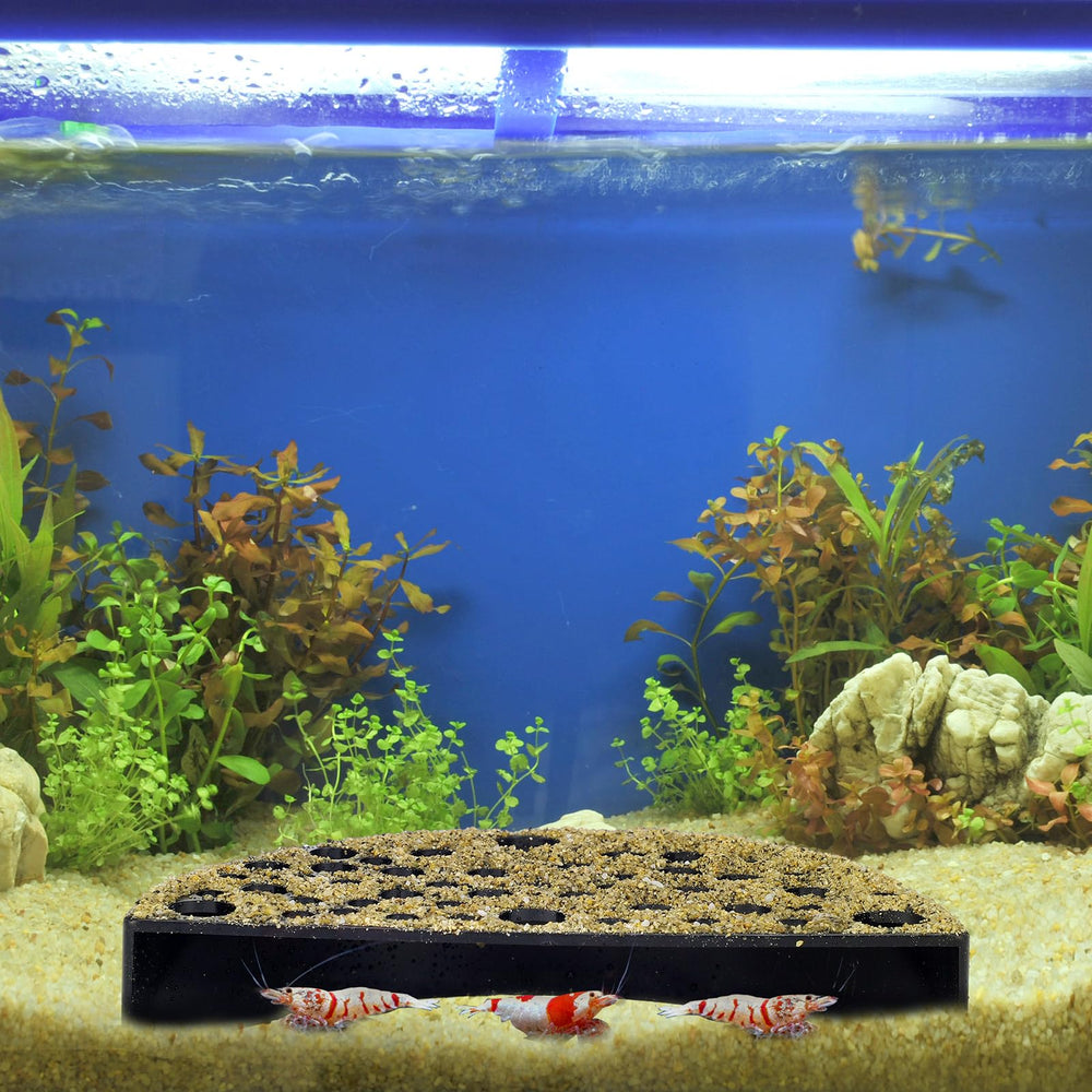 Hoolerry two shrimp hides aquarium black display complements modern tanks with practical shelters.