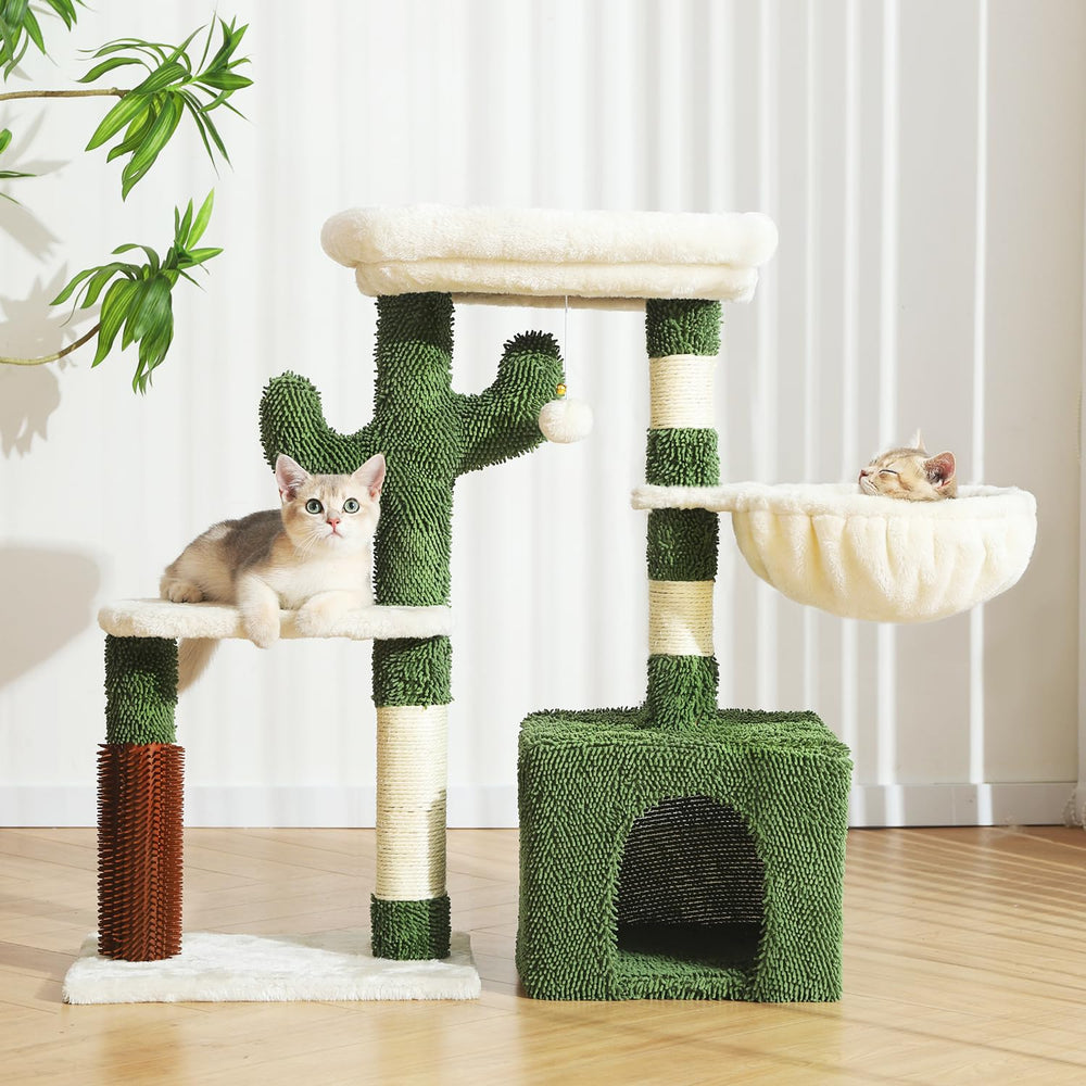 HOOPET cactus design in a living room scene highlights space-saving appeal.
