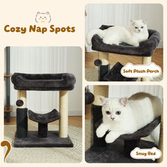 HOOPET cat tree self-groomer brush demonstrates built-in grooming for cleaner homes