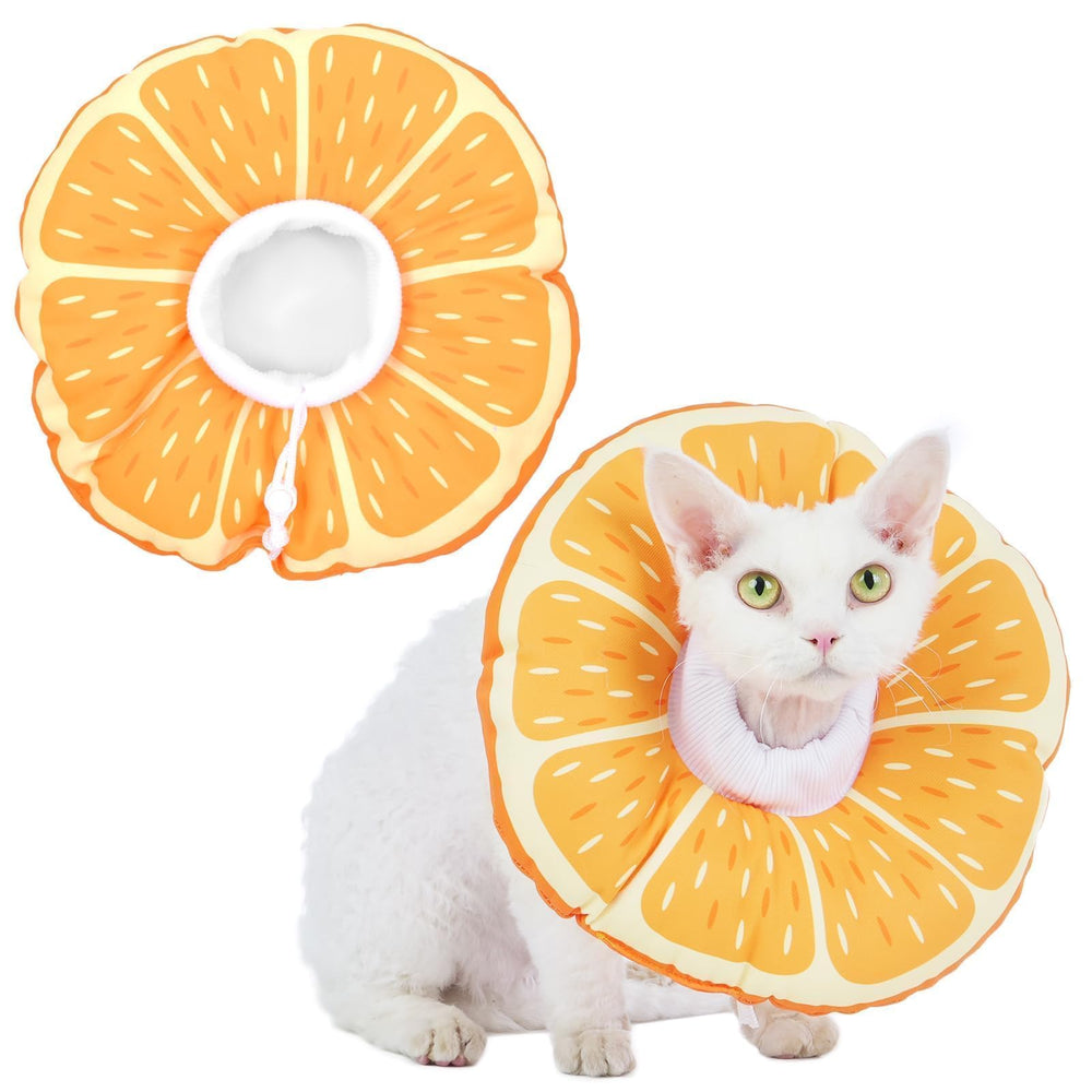 Hoopttay cat cone collar soft worn on cat, protecting post-surgery wounds with comfortable recovery.