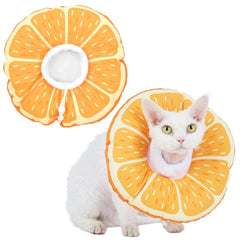 Hoopttay cat cone collar soft worn on cat, protecting post-surgery wounds with comfortable recovery.